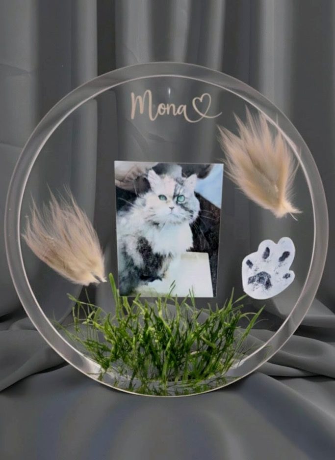 Erinnerungen an den geliebten Vierbeiner