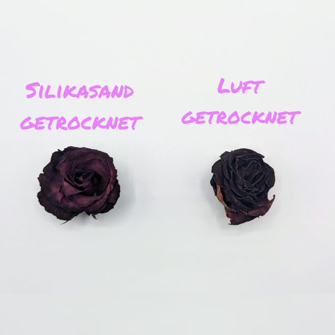 Silikasand Trocknung vs. Lufttrocknung