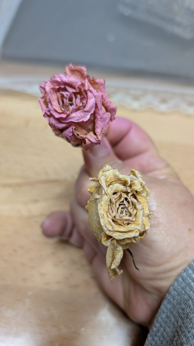 luftgetrocknete Rosen mit vs ohne Color Correct