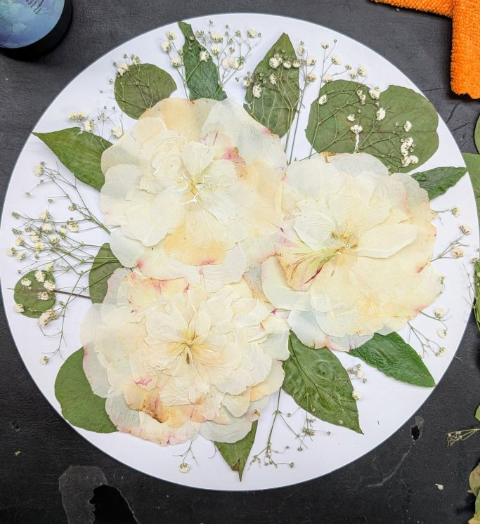 ...zu Trocknung und Design...